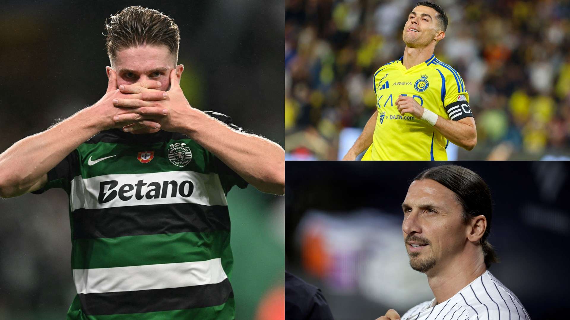 他对年轻球 他对年轻球